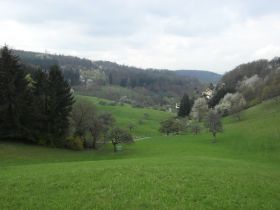 der Hintere Weiher.jpg